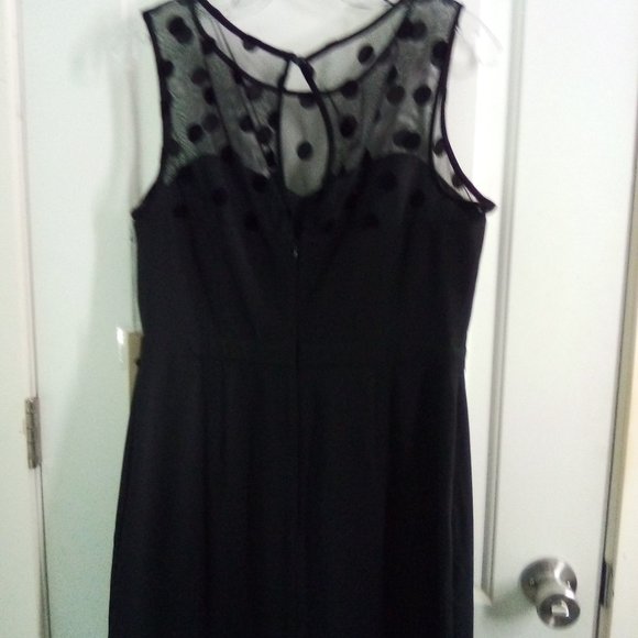 Lauren Conrad Little Black Dress - Picture 6 of 6
